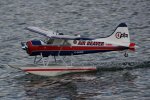 Beaver von Eric